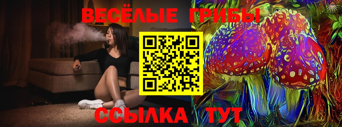 закладки  Галлюциногенные грибы Magic Shrooms  Псилоцибиновые грибы MAGIC MUSHROOMS  Вход с VPN  Кировск 
